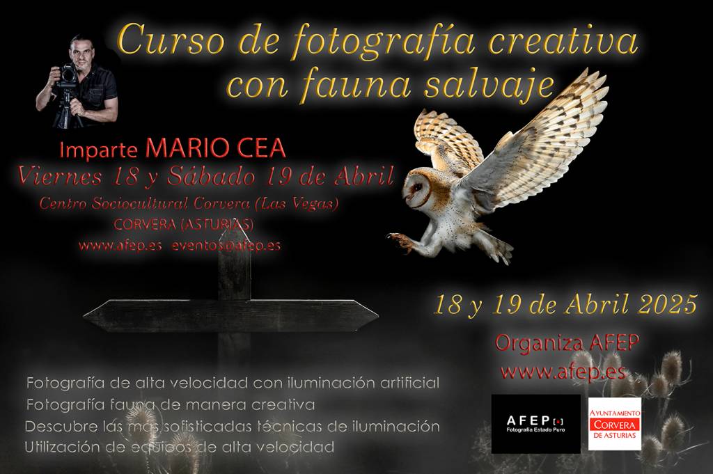 Curso de fotografía de alta velocidad con Mario Cea (18 y 19 de Abril) 3